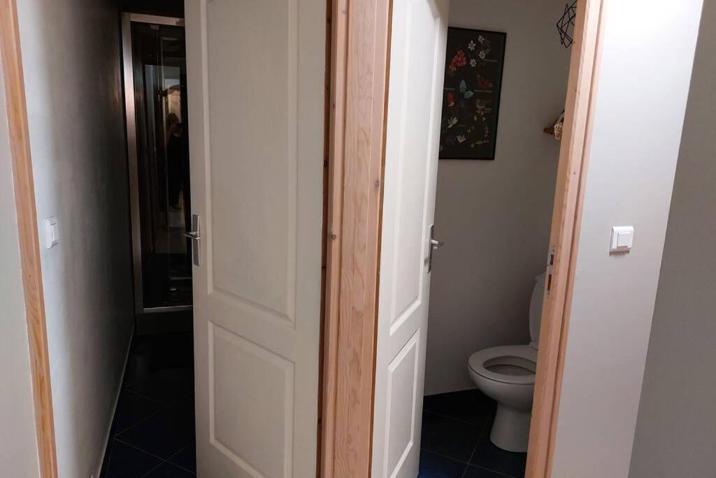Апартаменты Studio Cosy De 2 A 4 Personnes Au Coeur Du Haut Doubs, Entre Les Lacs, Les Montagnes Et Les Vignobles Frasne Экстерьер фото
