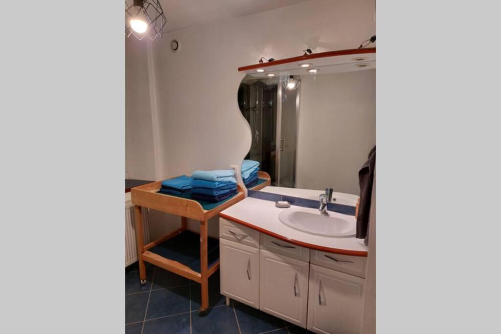 Апартаменты Studio Cosy De 2 A 4 Personnes Au Coeur Du Haut Doubs, Entre Les Lacs, Les Montagnes Et Les Vignobles Frasne Экстерьер фото