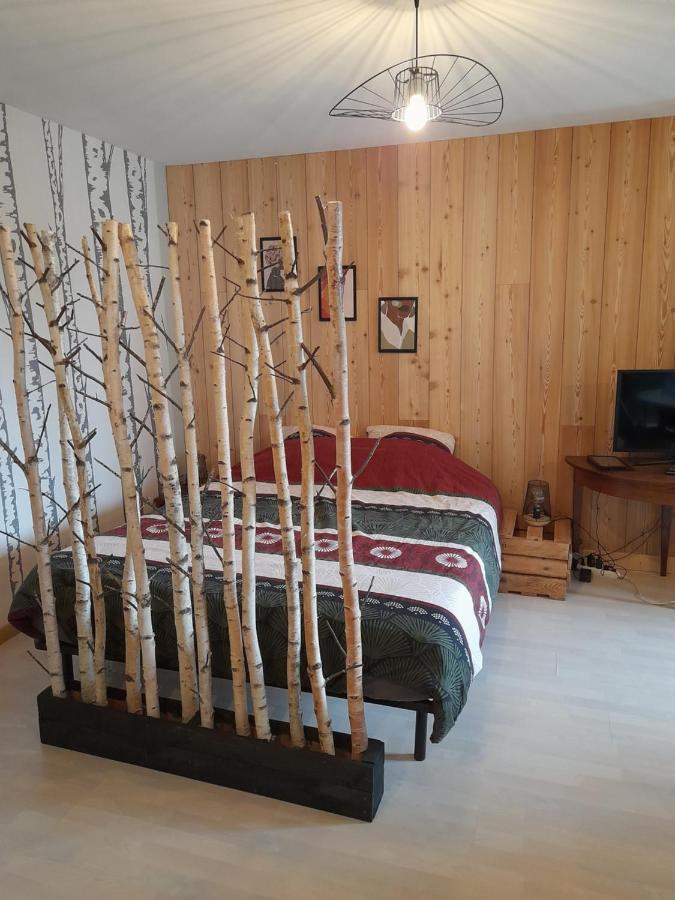Апартаменты Studio Cosy De 2 A 4 Personnes Au Coeur Du Haut Doubs, Entre Les Lacs, Les Montagnes Et Les Vignobles Frasne Экстерьер фото